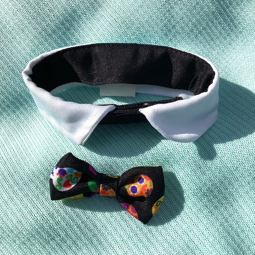 Boutique white neck with bow tie. Elegant Mr Dog/cat or any small animal